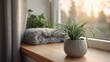 © InfiniteStudio - Indoor plant on windowsill in soft daylight with a minimal setting and a focus on wellness in home decor