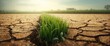 © vxnaghiyev - Climate change concept art showing ground fissures and a green meadow