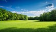 © Tierra - Tranquil Forest Landscape With Open Meadow And Blue Sky