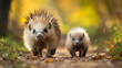 © Artsaba Family - A mother hedgehog and her young stroll through a sunlit forest path, highlighting their family bond