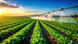 © wanna - A modern irrigation system waters a lush green vegetable crop row under a clear blue summer sky in the rural agriculture landscape of a productive farm