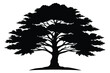 © pipp99 - cedar silhouette line art vector illustration with a white background