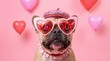 © Zohaib - dog with heart shaped glasses