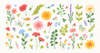 © Anna Bova - Set of spring and summer abstract hand drawn flowers. Floral cute doodle elements, wildflower, leaves and herb, plants, foliage. Colorful drawing brush, crayon, line. Vector illustration.
