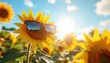 © MODERNARTWatChaRaWit - Sunflower smiles under bright sunlight field of sunflowers photography vibrant nature close-up joyful concept and beauty