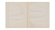 © BORT GRAPHIC - Aged open notebook graph paper spread with beige paper texture
