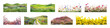 © Rawpixel.com - PNG Vibrant landscapes showcasing colorful flowers, transparent background