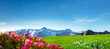 © by-studio - Schweizer Landschaft mit Gebirge, Alpenrosen und enzian