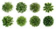 © Rawpixel.com - PNG Top view green tree variety on transparent background