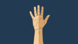 © shihab - Illustration of a Human Hand with Palm Lines.