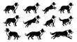 © Juliansyah - Border collie dog silhouette vector set. Collection of black and white animal jumping, running, standing and walking. Breed symbol for logo or agility club design.