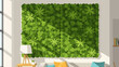 © Nita - Modern living room with a large green wall and bright sunlight streaming in