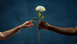 © Nai - Hands exchanging a flower in a simple act of connection and giving during a moment of sharing and kindness