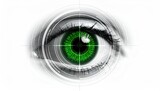 Closeup of Human Eye with Green Iris.