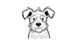 © Hena - Scruffy dog hand drawn sketch vector illustration in playful cartoon style isolated on white