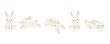 © Nataliia Vyshnytska - Set of cute bunnies in different playful poses on white background. Flat vector illustration.