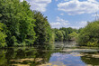 © Hilda Weges - Scenic green view of river Leie in Belgium surrounded by graan trees during springtime