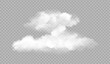 © pixel pro - Realistic Smoke Cloud on Transparent Background – Vector Overlay