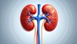 © Ubay.d25 - Detail human kidney illustration. High detail anatomical illustration of kidneys and renal vessels, ideal for medical education and health topics.