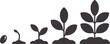 © Mehedy - Four stages of plant growth from seed to seedling sprout