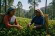 © julia_diak - Tea pickers working together in lush green tea plantation. Bright daylight creates vibrant scene. This high-quality image captures teamwork and dedication in agriculture.