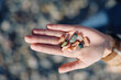 © SHOTPRIME STUDIO - Hand holding colorful stones and pebbles in palm, outdoor nature setting, closeup detail and textured surface, calm and natural mood for outdoor life and collection themes