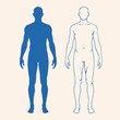 © pixelartis - Human Body Silhouette Icon – Anatomy Medical Figure Health Illustration