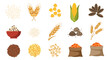 © Corne - Various cereal grains and seeds collection for food and agriculture designs