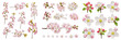 © Rama - Collection of beautiful pink cherry blossoms and apple tree flowers, spring floral elements with buds and branches, isolated on white background.