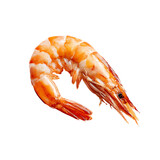 160_f_1888627843_fbfxbisv51z6ccdiidaxbjanzrlpxnqc