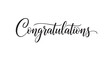 © Dilip - Elegant calligraphy congratulations message isolated on transparent background