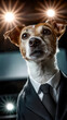 © ABF_MATEO - Dapper Dog: A Canine Celebrates in Style Under the Bright Lights Today