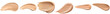 © LifestylePNG - a studio photograph showcasing multiple swatches of liquid foundation or concealer cream in various skin tones and shades.