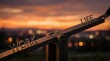 © Mariya Sorvacheva - Balancing wooden seesaw with words work and life at sunset, symbolizing the concept of digital detox and slow living, promoting harmony and mindfulness in everyday life