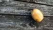 © Siti - A single, unpeeled starchy vegetable sits atop weathered, grey wooden planks. The focus is sharp on the tuber, with light and shadow adding depth