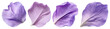 © Rawpixel.com - PNG Delicate purple flower petals, transparent background