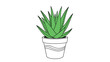 © Mary - Stylized illustration of a vibrant green aloe vera succulent plant in a simple white pot with wavy line details for coloring.