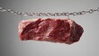 © Juan - Suspended raw meat cut on metal chain with gray backdrop for dramatic culinary concept photography