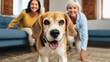 © CreativeArt - Dog owner beagle dog smiling at camera while two happy senior women smile behind it, enjoying pet friendship at home