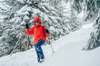 © Soloviova Liudmyla - Smiling female trekker wearing red jacket and sunglasses with trekking poles walking on snowy slope near fir trees. Low Tatra mountains, Slovakia. Beauty in nature and active people tourism concept.