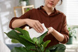 © New Africa - Woman wiping beautiful houseplant leaf at home, closeup