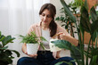 © New Africa - Woman watering beautiful potted houseplant at home