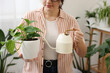 © New Africa - Woman watering beautiful potted houseplant at home, closeup