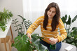 © New Africa - Woman spraying beautiful houseplant with water indoors
