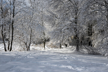  Landscape of South Park in city of Sofia, Bulgaria