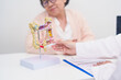 © Jo Panuwat D - Elderly woman Patient consultation with doctor for Colon disease, Large Intestine, Colorectal cancer, Ulcerative colitis, Diverticulitis, Irritable bowel syndrome, Digestive system and Healthcare