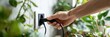 © Aulia - Hand inserting black plug into wall socket surrounded by greenery