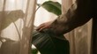 © Agus Through Lens - Close up of person hand touching large tropical leaf behind a linen curtain in soft indoor lighting