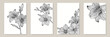 © Hulinska Yevheniia - banner background of creative minimalist hand draw illustrations floral black and white outline lily for wall decoration, postcard or brochure cover design, banner beauty web cite.