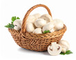 © magele-picture - Korb mit frischen Champignons auf weißem Hintergrund